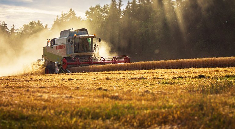 Agriculture