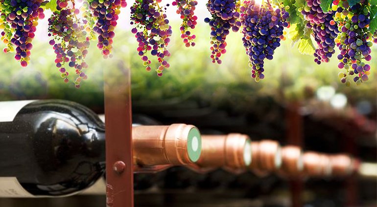 Wine Industry